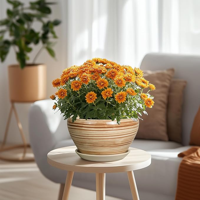 Indoor Planter 9 Inch - Image 2