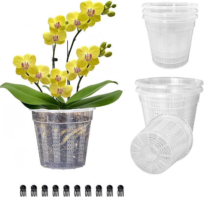 Orchid Pot, 6 Packs of 4.3" Orchid Pots by HOLANHING
