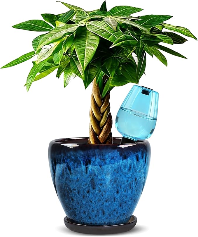 Ceramic Pots for Plant with Self Watering Globes, 8 inch Planters for Indoor by Xoogifae
