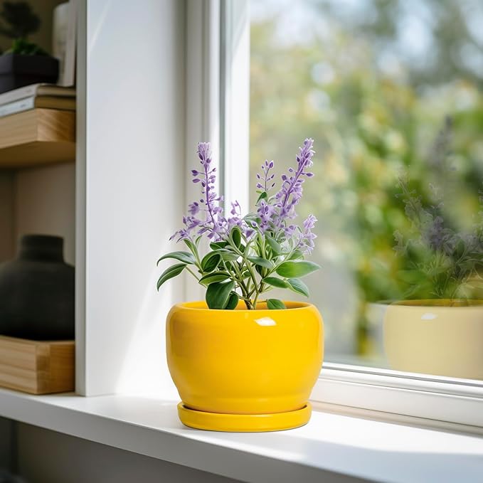 SQOWL 6 Inch Plant Pot - Image 2