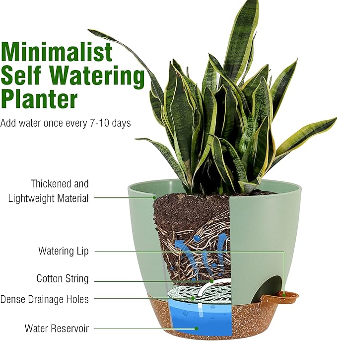 Large Self Watering Pots, 12/10/9 Plastic Planters - Image 3