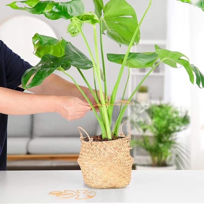 6PCS Iron Monstera Plant Support, Uniquely Designed Indoor Plant Accessories - Image 7