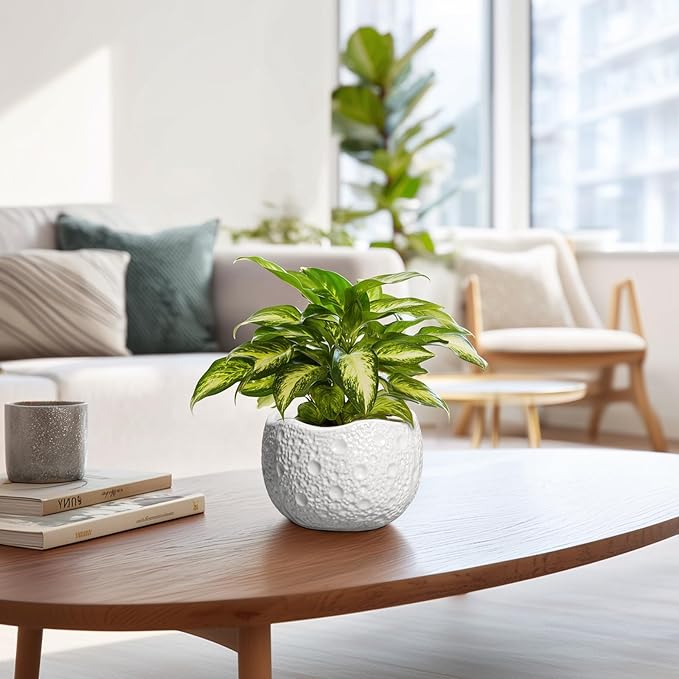 Ceramic Pots for Plants - Image 6