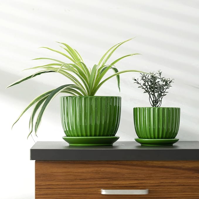 Ton Sin Ceramic Plant Pots, Indoor Planters - Image 5