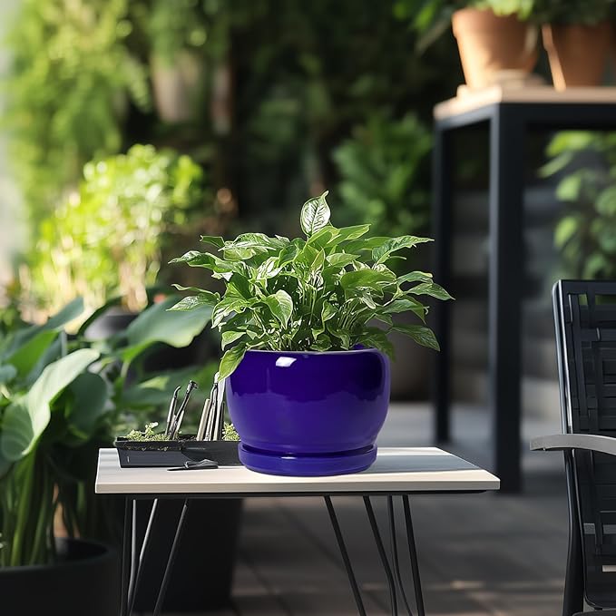 SQOWL 8 Inch Plant Pot - Image 5
