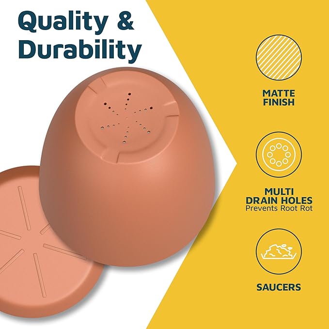 Terracotta Plant Pots with Drainage Holes & Saucers 5 Pack, Indoor & Outdoor - Image 7
