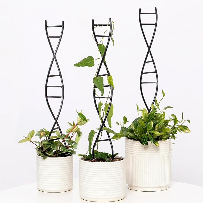 DNA Spiral Plant Trellis Indoor by Goooxim