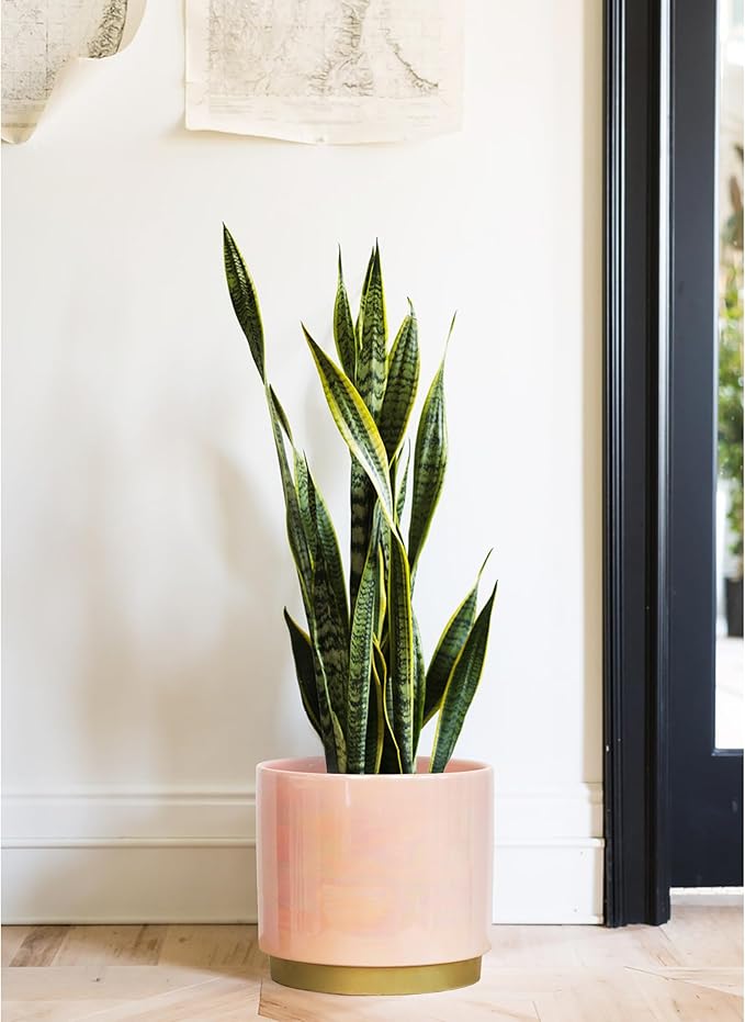 Gepege Pink Indoor Plant Pots for Plants, Large Ceramic Planter - Image 5
