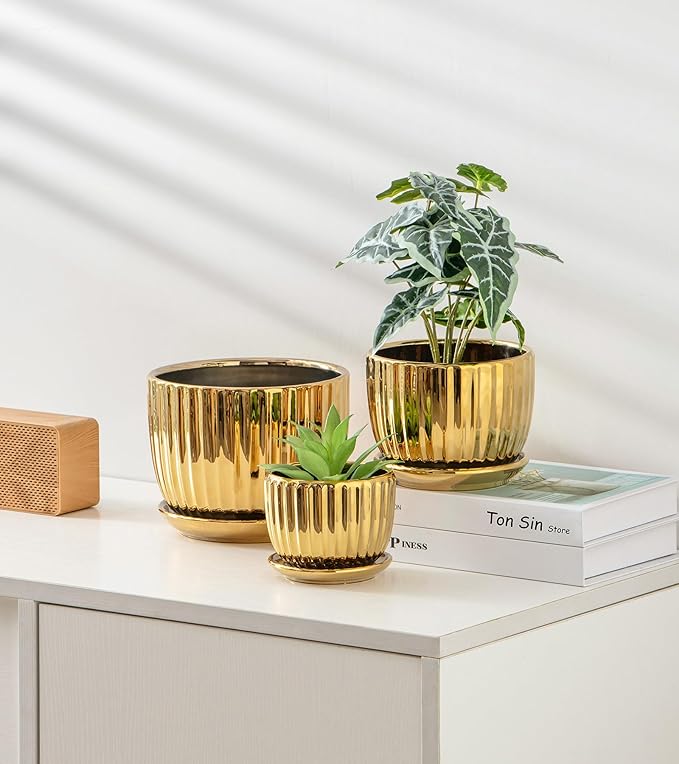 Ton Sin Gold Plant Pots, 4.1+5.1+6.5 Inch Ceramic Succulent Planters Set of 3 - Image 4