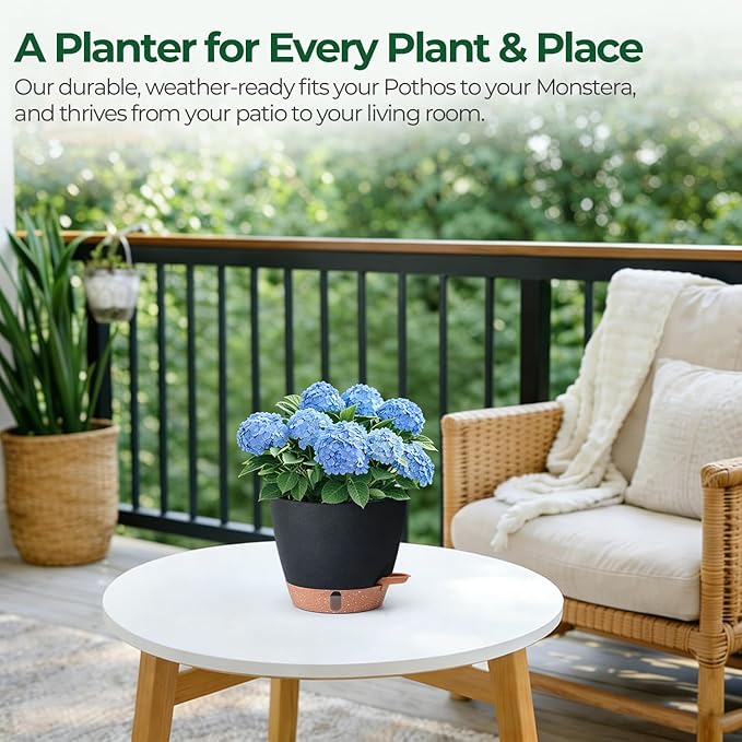 T4U 2 Pack 8 Inch Self Watering Pots - Image 9
