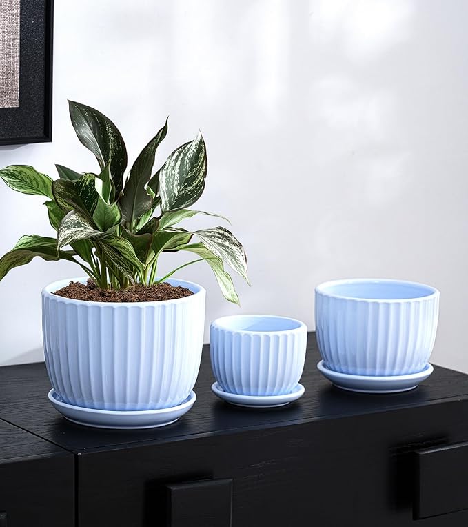 Ton Sin Sky Blue Ceramic Flower Pots, Modern Indoor Decorative Plant Pots Set - Image 2