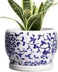 SQOWL 6 Inch Planter by SQOWL