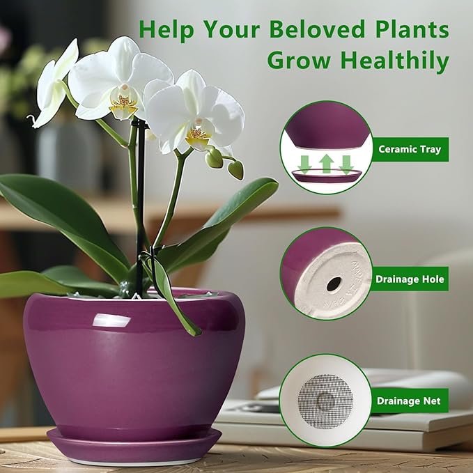 Ceramic Pots for Plants 6 Inch - Image 4