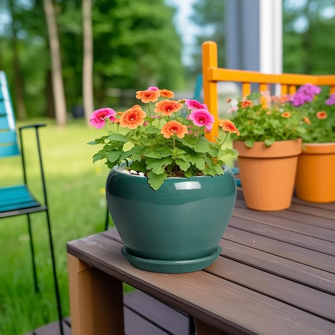 Indoor Plant Pot 6 Inch - Image 4