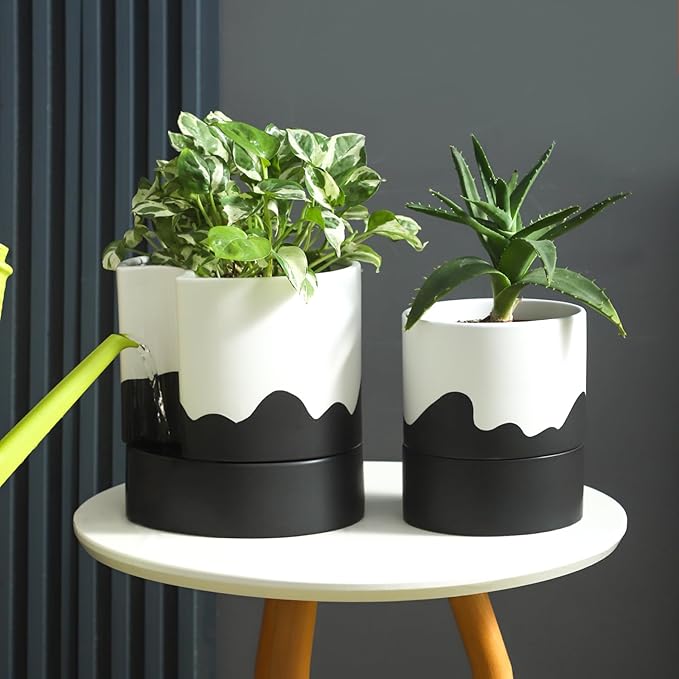 Nihow Self Watering Plant Pot: 8 Inch Ceramic Planter - Image 5
