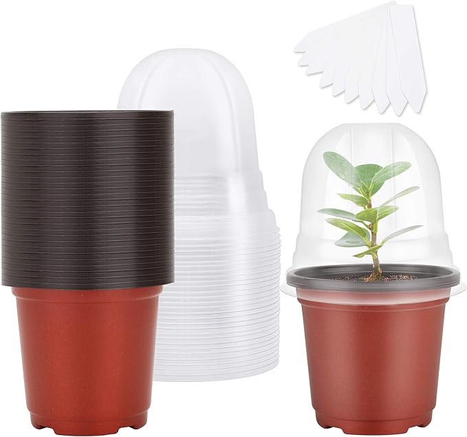 MIXC Plant Nursery Pots with Humidity Dome 4" Soft Transparent Plastic by MIXC