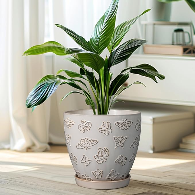 Ceramic Planter 8 Inch - Image 7