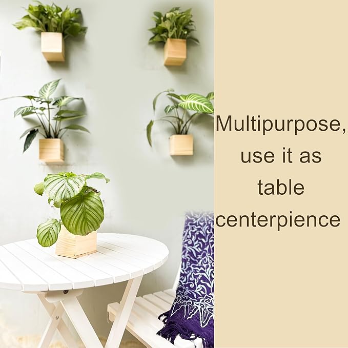 LaLaGreen Wooden Planter Box for Plants Small Square Wall Planters for Indoor - Image 3