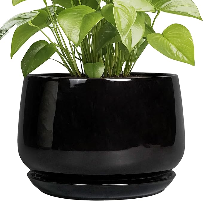 G EPGardening Ceramic Plant Pots by GEPGardening