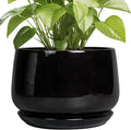 G EPGardening Ceramic Plant Pots by GEPGardening