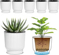 T4U 4 Inch Plant Pots Self Watering, 6 Pack African Violet Pots, Small Plant by T4U