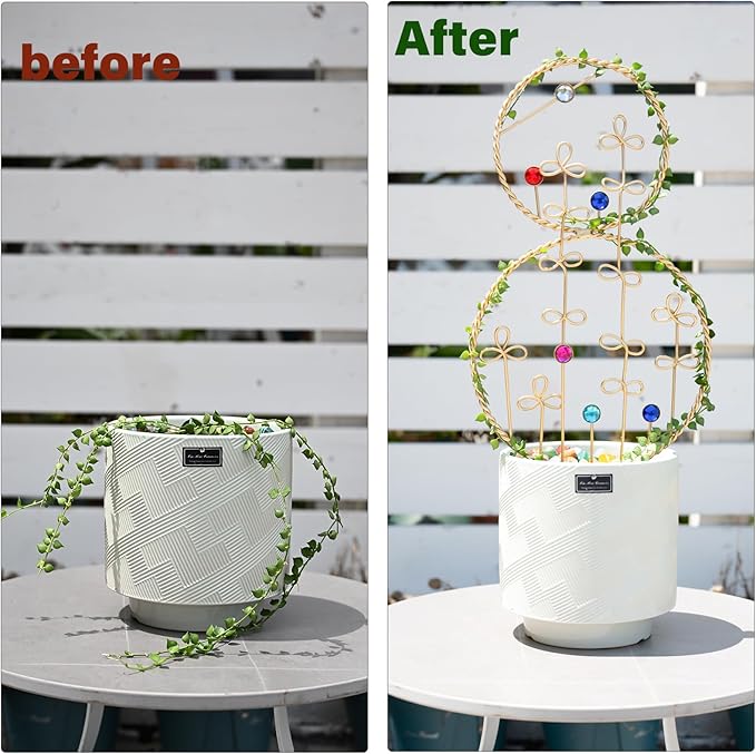 2PCS Hoya Trellis Plant Support Indoor Metal Frame Unique Trellis - Image 3