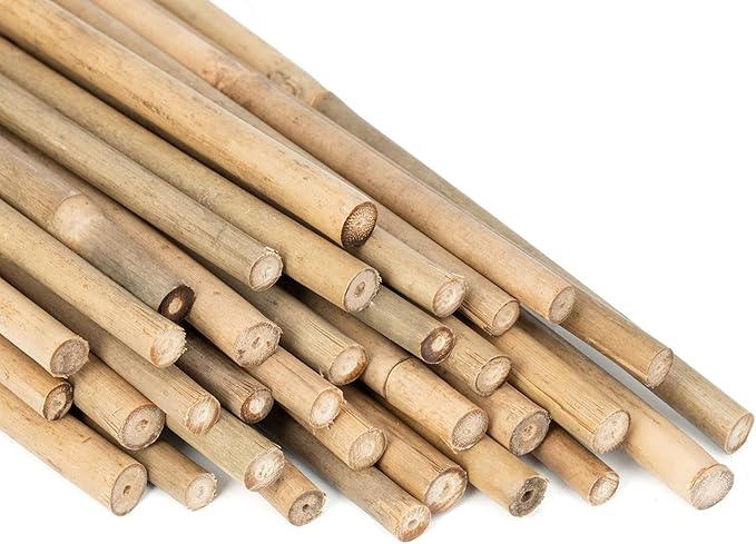 Plant Stakes Natural Garden Bamboo Sticks by GAGANANG