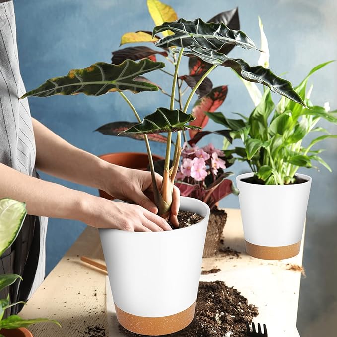 GARDIFE Plant Pots 7/6.5/6/5.5/5 Inch Self Watering Planters - Image 6