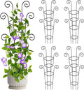 4 Pack 30 Inch Tall Metal Plant Trellis by Qiaokaiyan