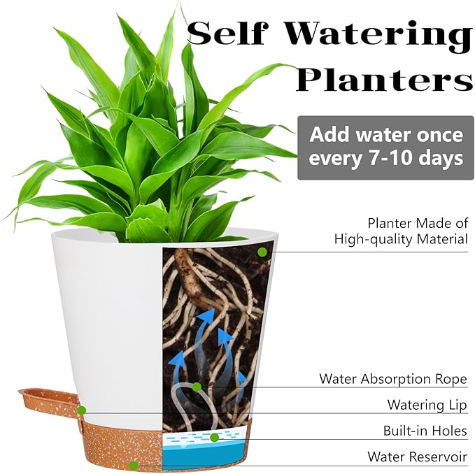 12+12Inch 2Pack Large Flower Pots - Image 2
