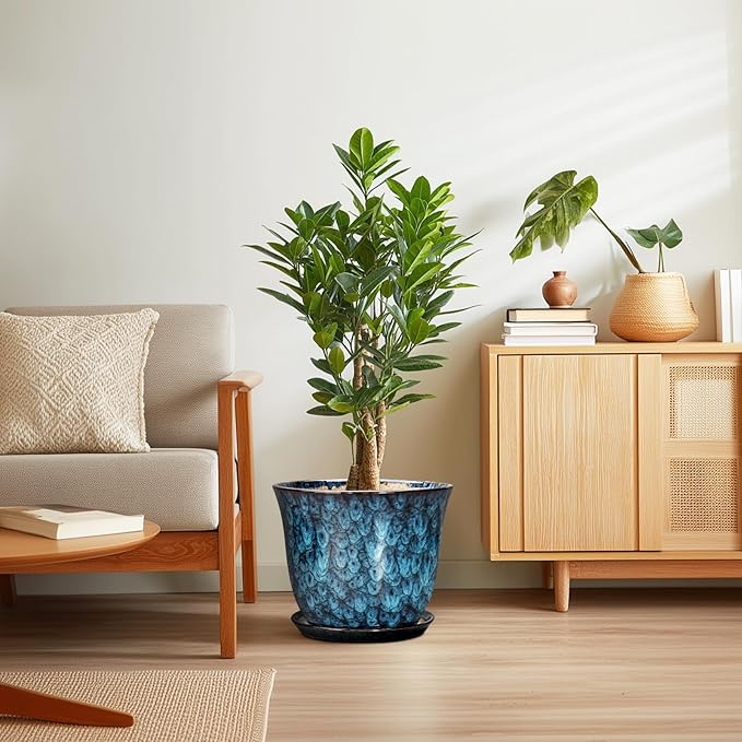 Ceramic Plant Pots - Image 7