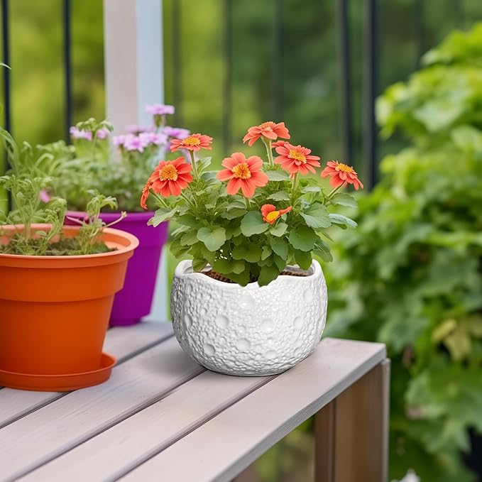 Ceramic Pots for Plants - Image 4