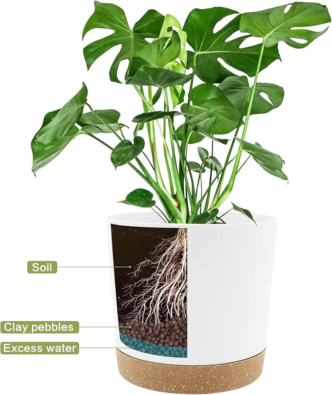 QCQHDU 6.5 inch Plant Pot, 2 Pack Planters - Image 4