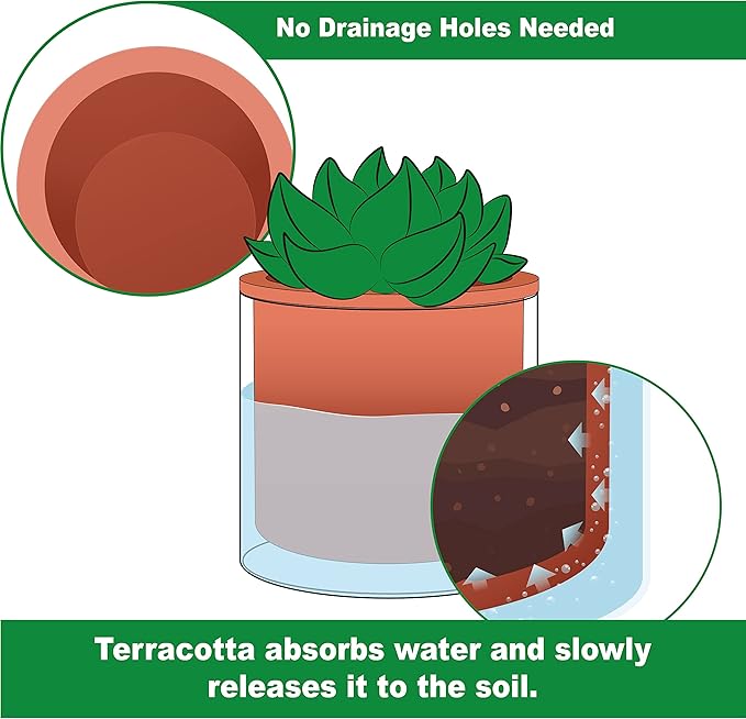 Phoenix Vine 6 Inch Self Watering Plants Pot, Design Terracotta Pot - Image 3