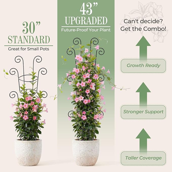 4 Pack 43 Inch Metal Plant Trellis - Image 3