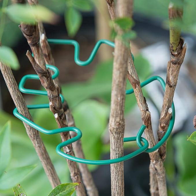 Monstera Plant Stem Support - Image 7