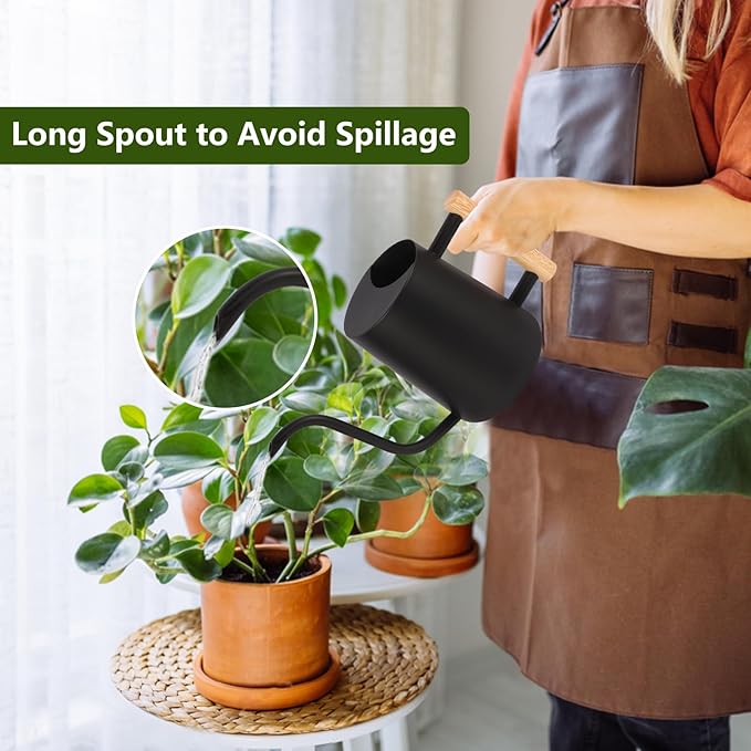 Plant Watering Can, 35oz Metal Watering Can, Stainless Steel Indoor Plants - Image 2