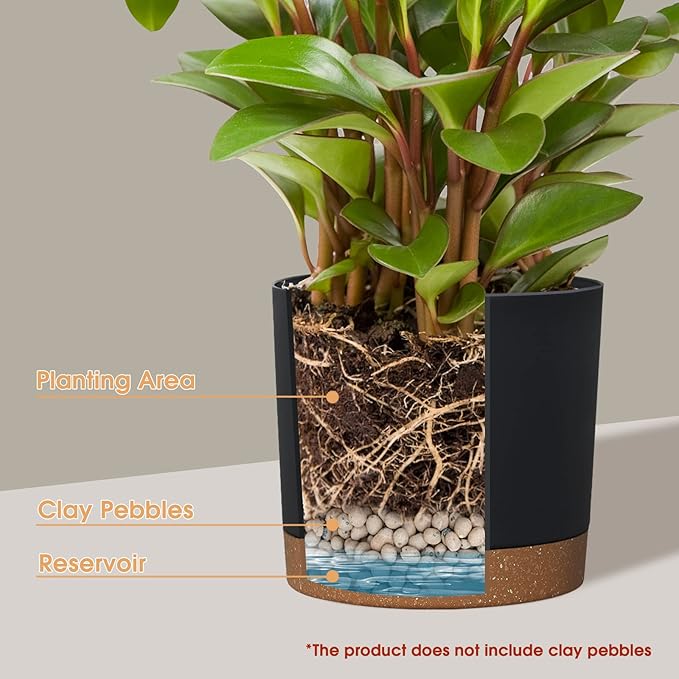 kubvici Plant Pots for Indoor Plants, 2 Pack 12 Inch Pots for Plants, - Image 3