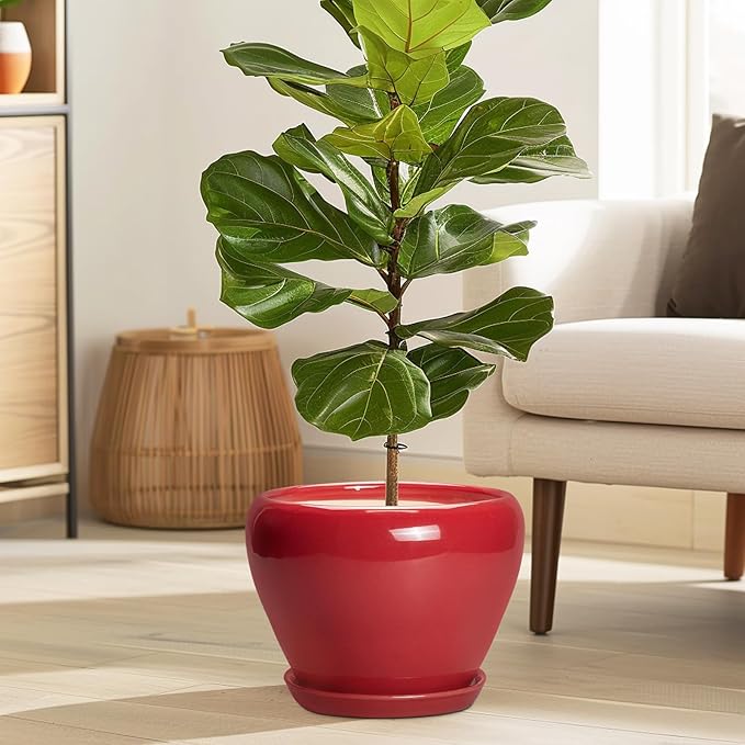 Ceramic Planter for Indoor Plants 8 Inch - Image 2