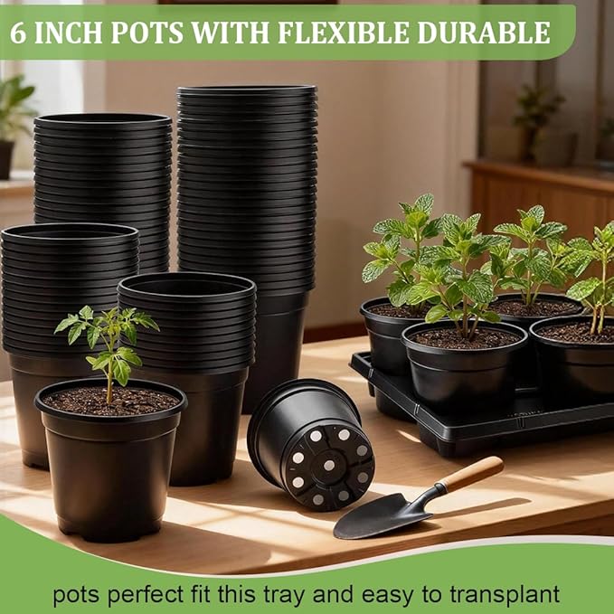 6 Inch Plastic Plant Pots 30 Pack and 6 Cell Nursery Pots Trays 5 Pack - Image 4