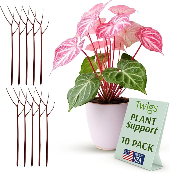 Plant Support Stakes for Indoor & Outdoor Use, Durable Trellis Alternative for by TwigsGardenAccessories
