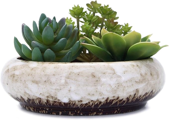 VanEnjoy 7.3 inch Round Large Shallow Succulent Ceramic Glazed Planter Pots by VanEnjoy