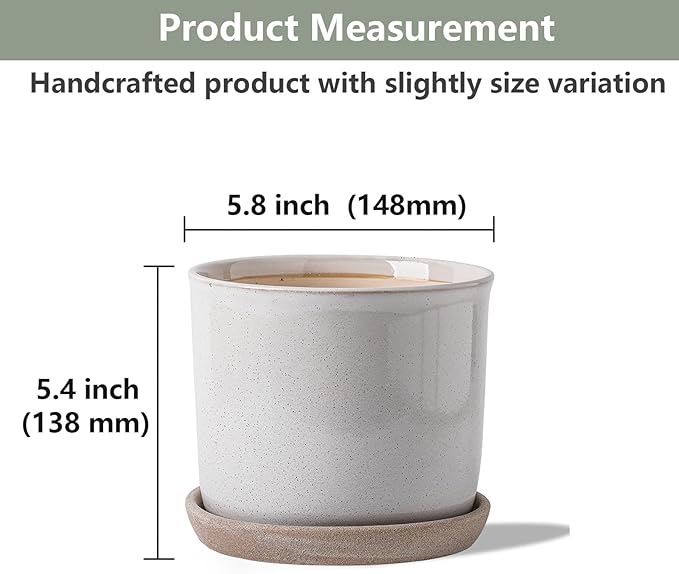 5.8 Inch Plant Pot: Ceramic Planter - Image 2