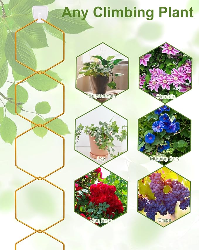 18 Pcs Chain Trellis for Climbing Plants, Potted Houseplant Accessories for Hoya - Image 5