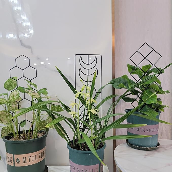 Metal Trellis for Climbing Plants Indoor, 16.36 inch Small Trellis for Potted - Image 8