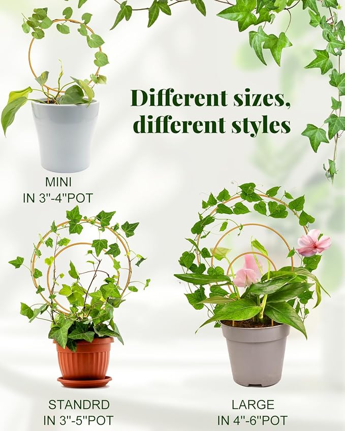 Unique Round Hoya Trellis, Garden Trellis Plant Support - Image 3