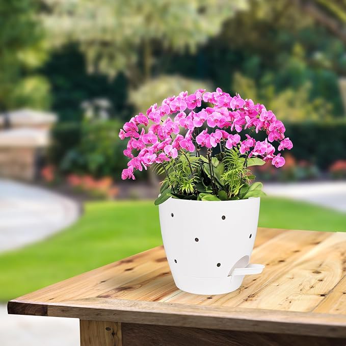 6 Inch Orchid Pots with Holes, 2 Pack Self Watering Planters - Image 7