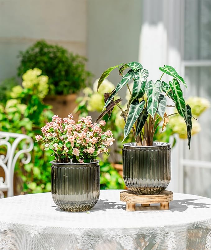 Melphoe Self Watering Pots for Indoor Plants Planter, 5.3 Inch 2 Pack Planters - Image 3