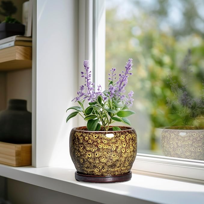 SQOWL 6 Inch Plant Pot - Image 2
