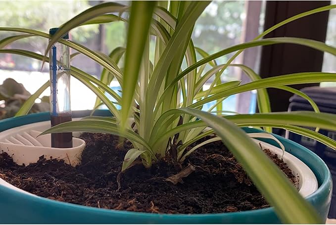 KINJOEK 4 Packs 7 Inch Self Watering Pot - Image 5